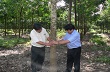 Sẽ khơi dòng “vàng trắng” ở Campuchia trong năm 2014